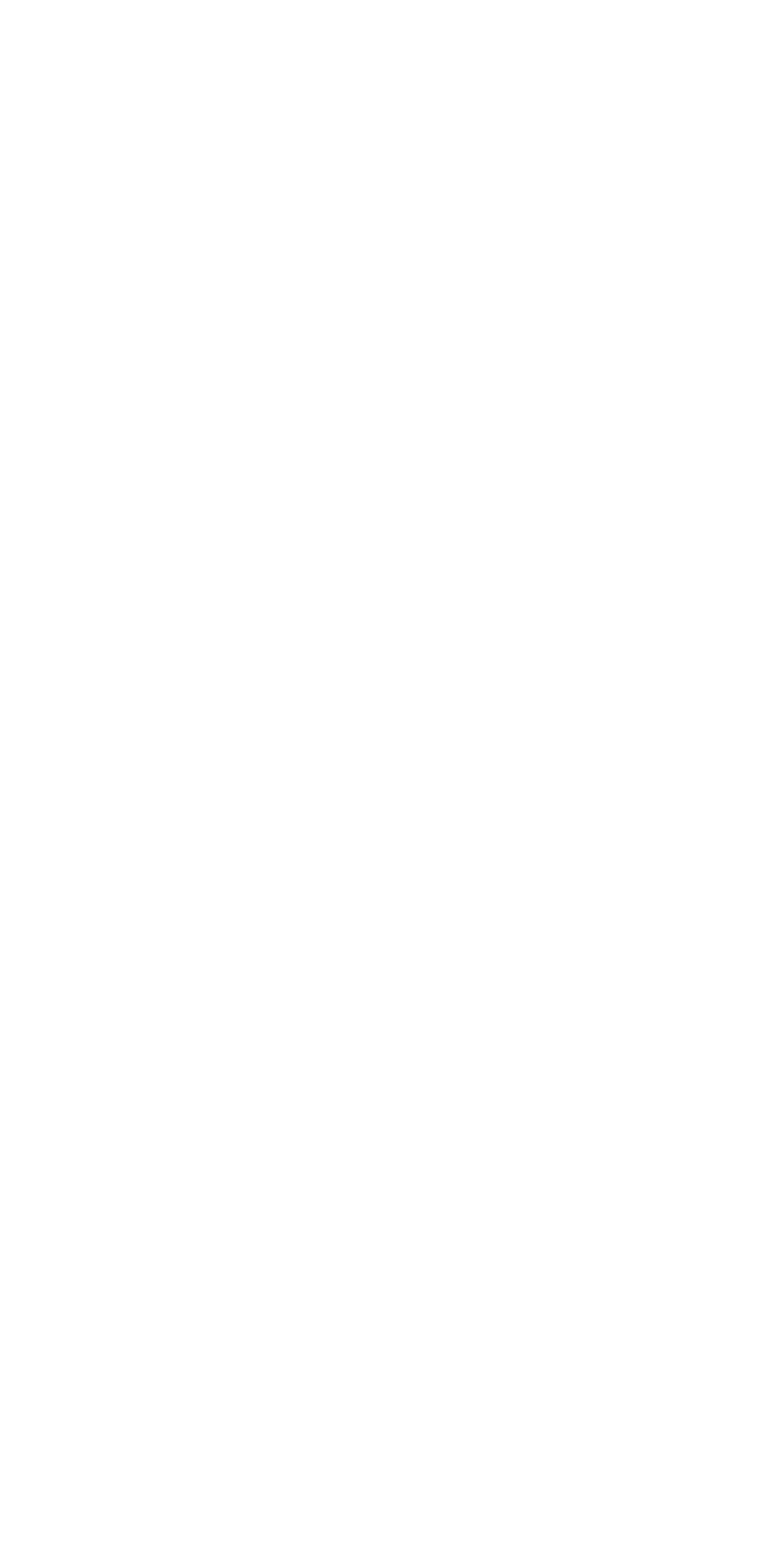 O Futuro