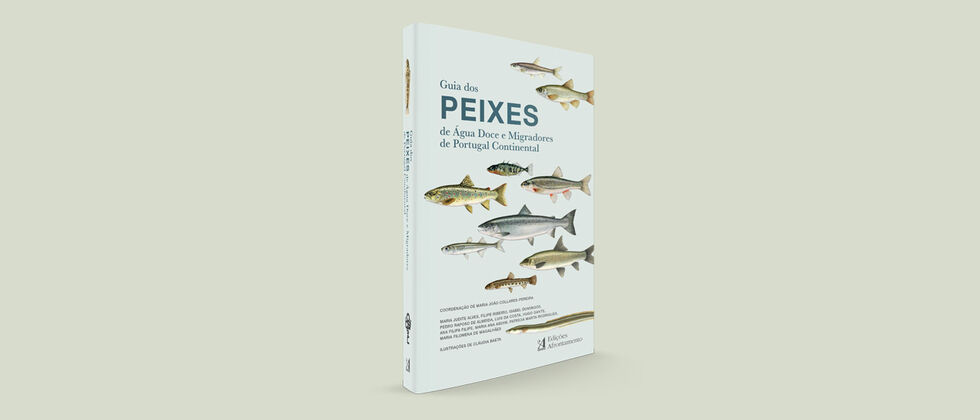Publicado o primeiro Guia de Peixes de Água Doce e Migradores de Portugal Continental