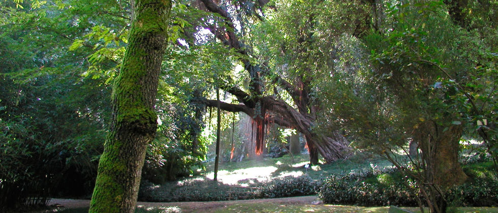 jardins ULisboa