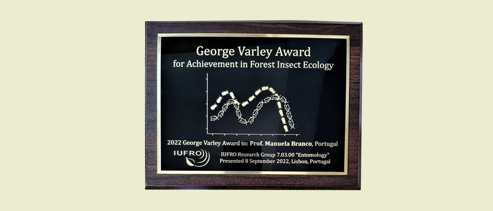 Prémio George Varley 2022 atribuído pela IUFRO - International Union of Forest Research Organizations