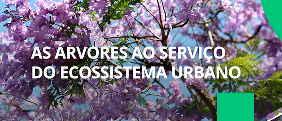 Lx-Tree - Conferência "As árvores ao serviço do ecossistema urbano"