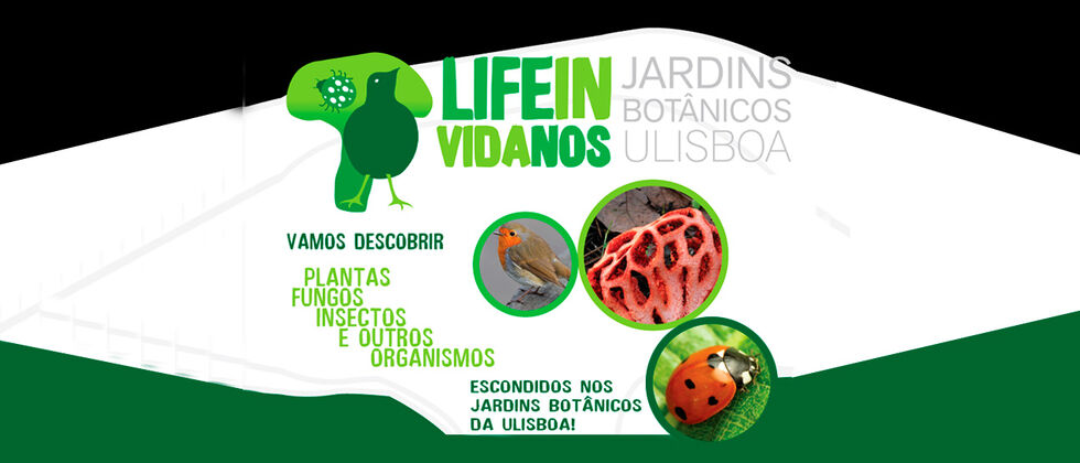 Life In | Vida nos Jardins Botânicos da Universidade de Lisboa