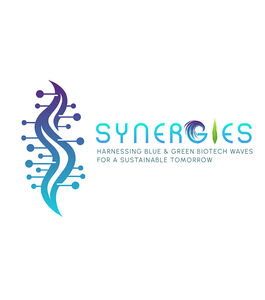 Synergies - Harnessing blue and green biotech waves for a sustainable tomorrow: Initiative towards sustainable macroalgae farming along European shores