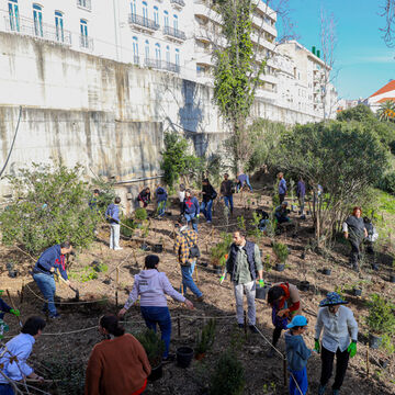 360 árvores plantadas na mini-floresta urbana do ISEG