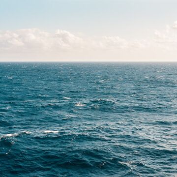 Como é que os oceanos morrem?